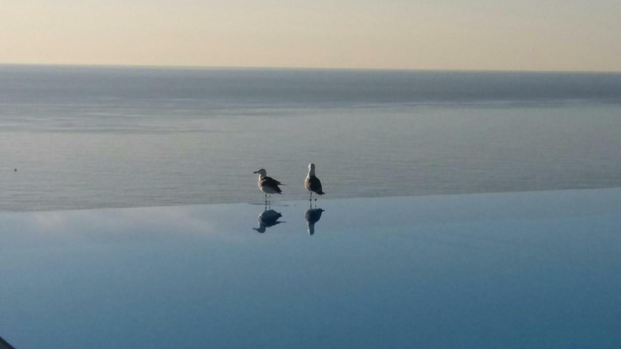 Appartement Zen Costa Plana Cap-d'Ail Eksteriør bilde